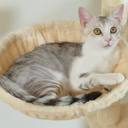 Arbre à Chat XXL 175cm Hamac Bois | Beige | Perchoir Du Chat