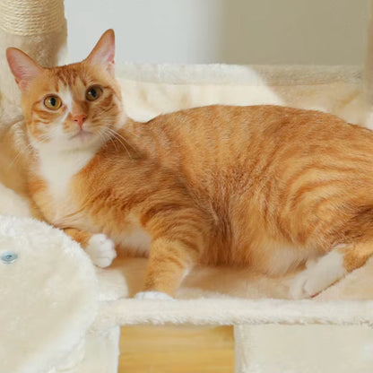 Arbre à Chat XXL 175cm Hamac Bois | Beige | Perchoir Du Chat