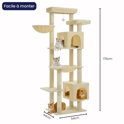 Arbre à Chat XXL 175cm Hamac Bois | Beige | Perchoir Du Chat