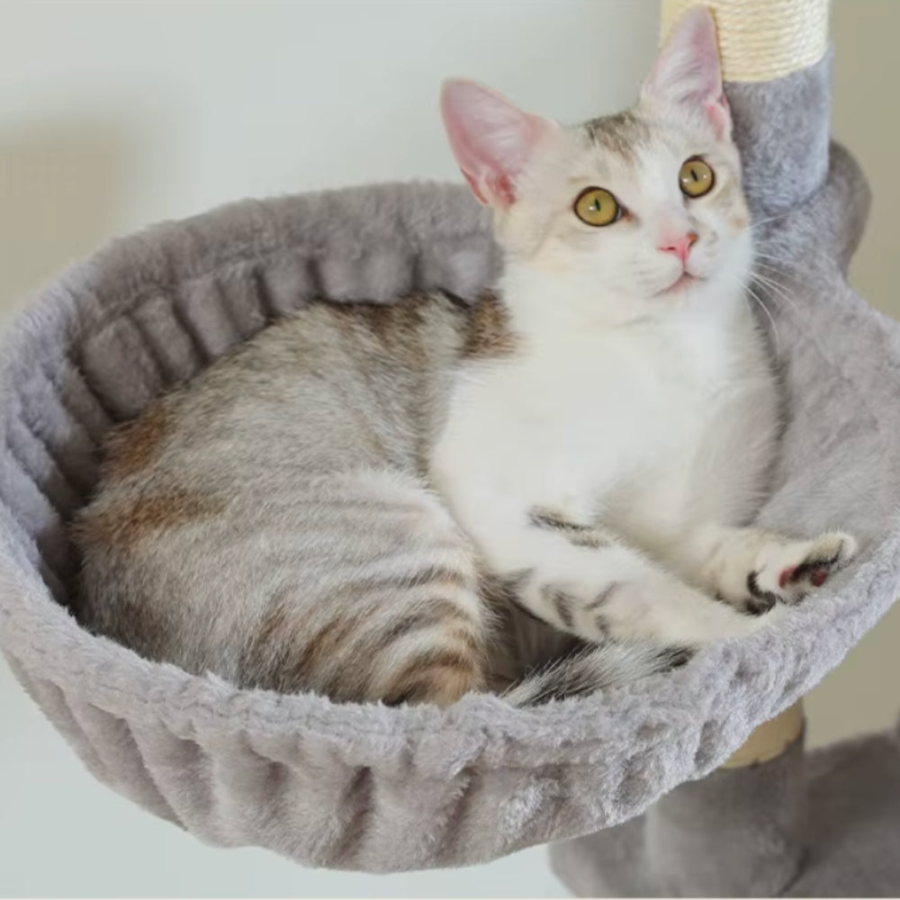 Arbre à Chat XXL 175cm Hamac Bois | Gris | Perchoir Du Chat