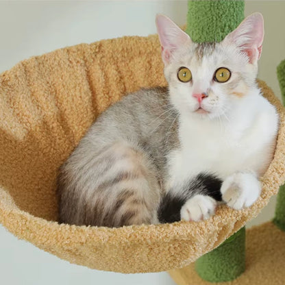 Arbre à Chat XXL 175cm Hamac Bois | Vert | Perchoir Du Chat