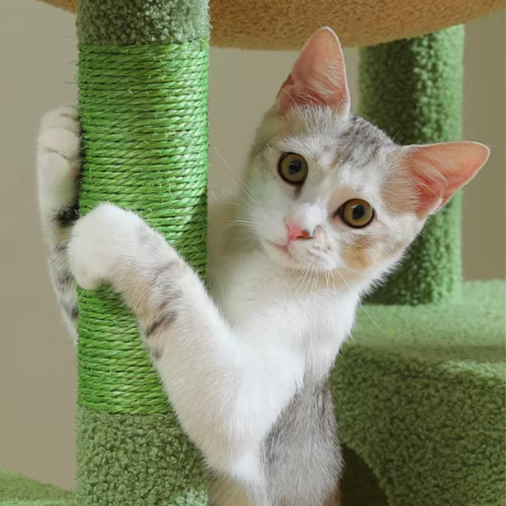 Arbre à Chat XXL 175cm Hamac Bois | Vert | Perchoir Du Chat