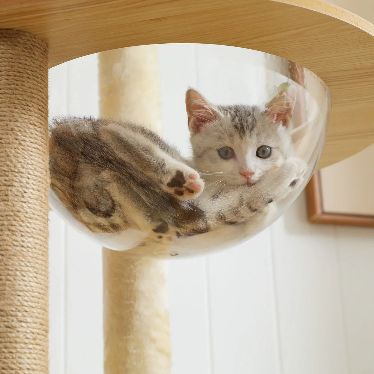 Arbre à Chat XXL 180cm Hamac Bois | Beige | Perchoir Du Chat