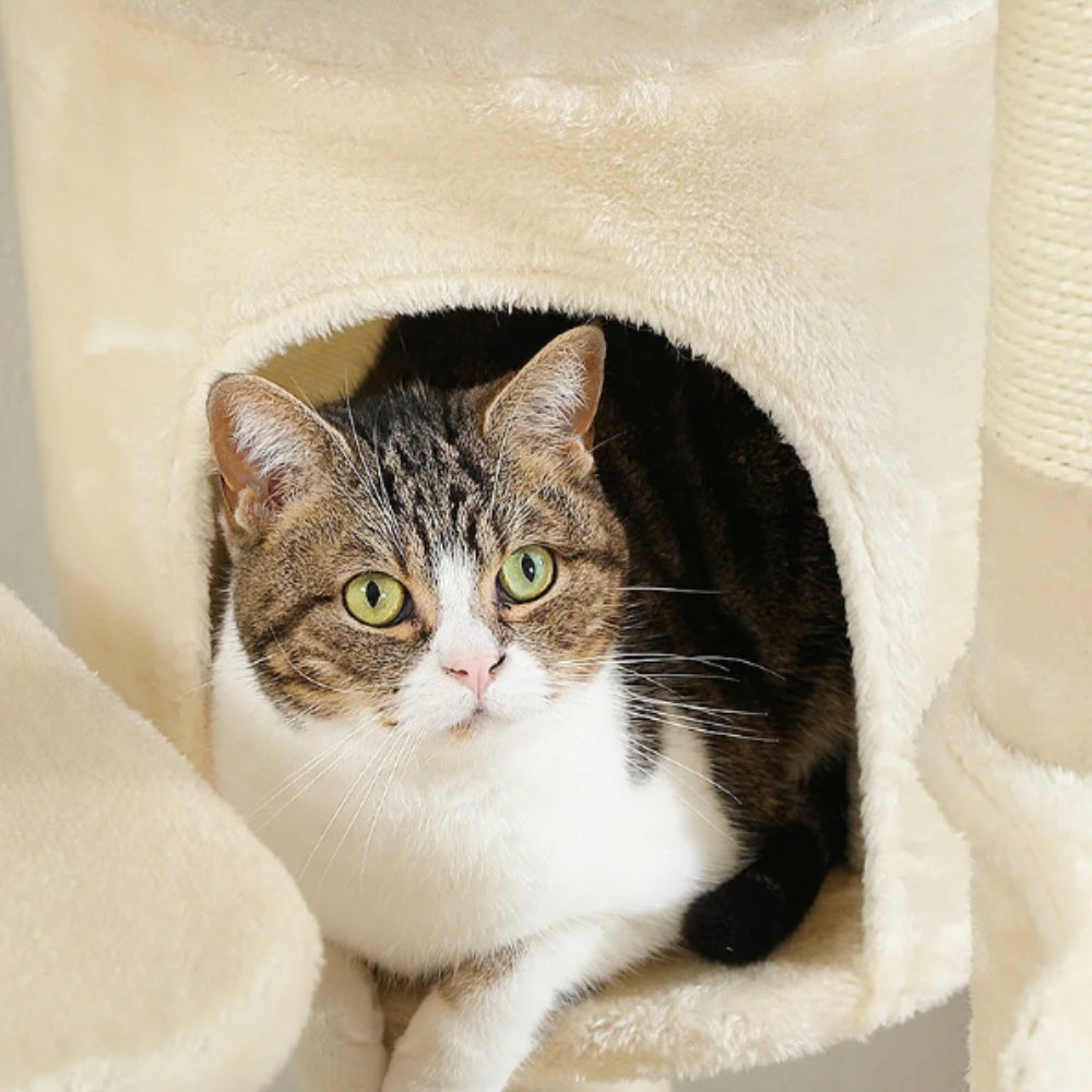 Arbre à Chat XXL Hamac Bois | Design Beige | Perchoir Du Chat