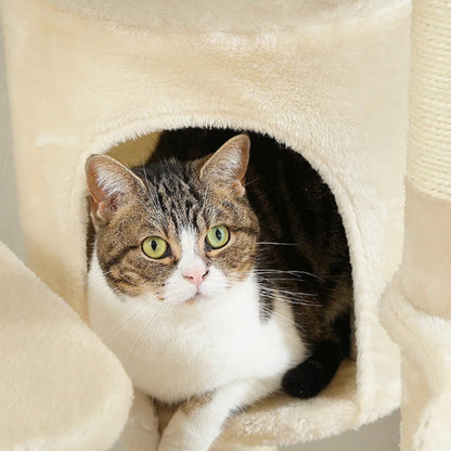 Arbre à Chat XXL Hamac Bois | Design Beige | Perchoir Du Chat