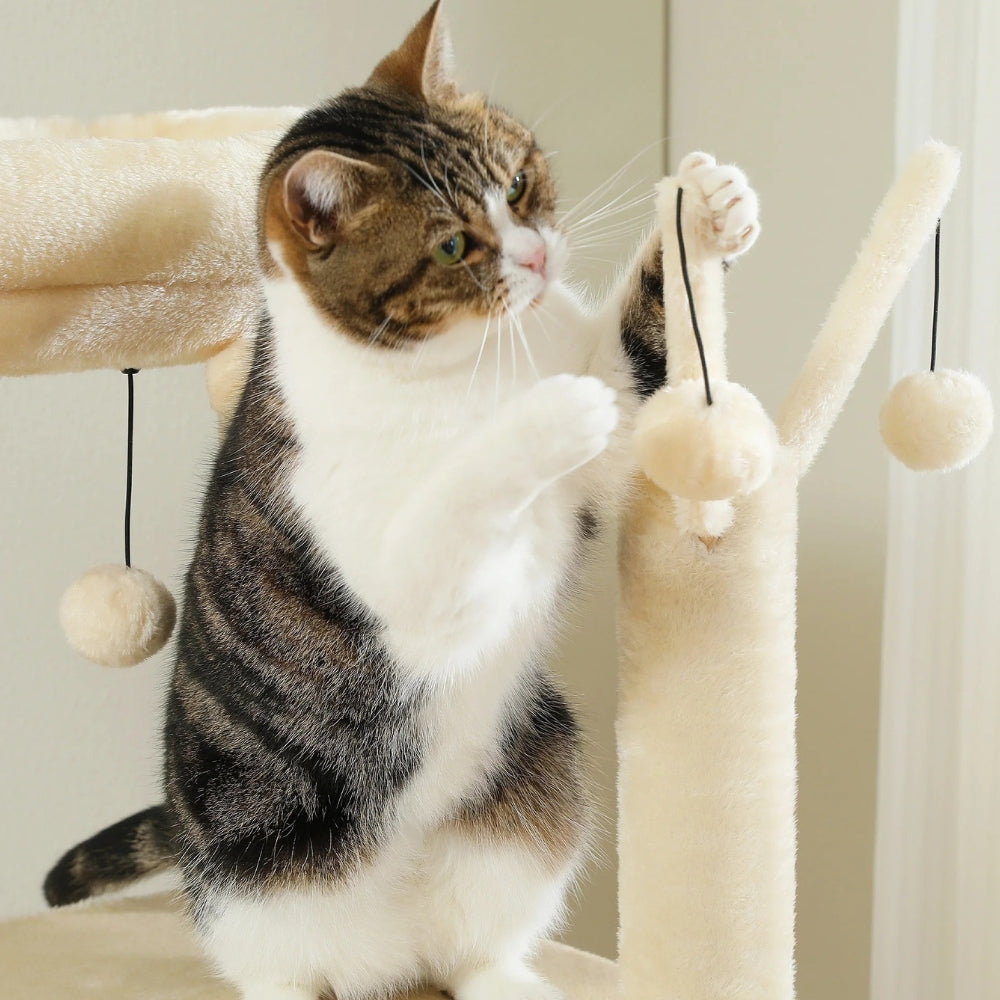 Arbre à Chat XXL Hamac Bois | Design Beige | Perchoir Du Chat