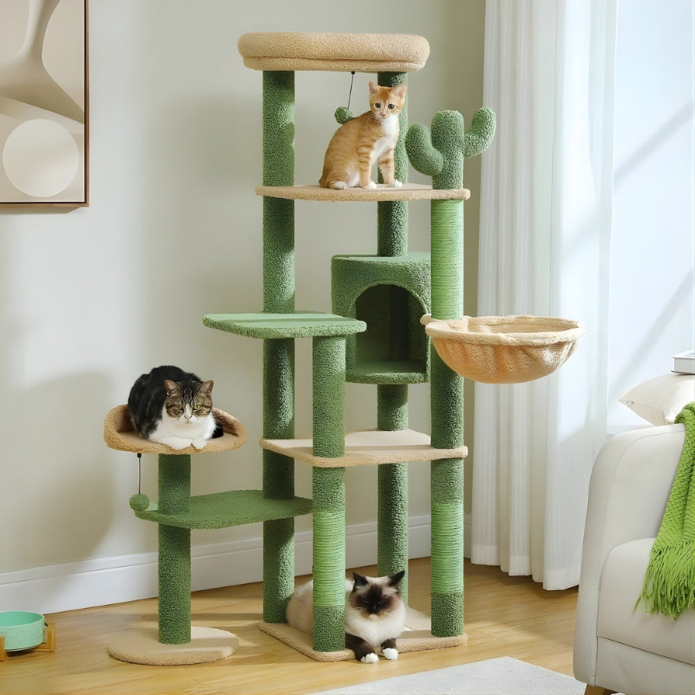 Arbre à Chat XXL Hamac Bois | Design Vert | Perchoir Du Chat