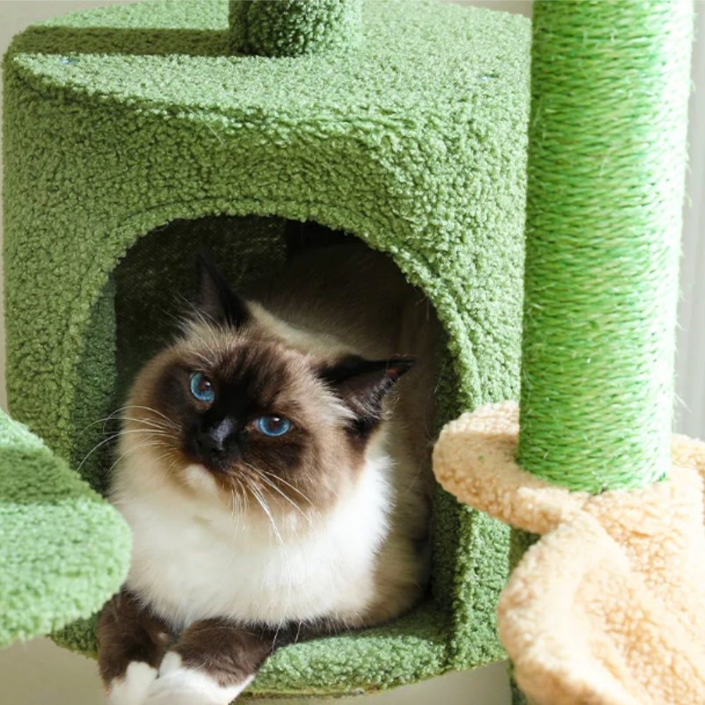 Arbre à Chat XXL Hamac Bois | Design Vert | Perchoir Du Chat