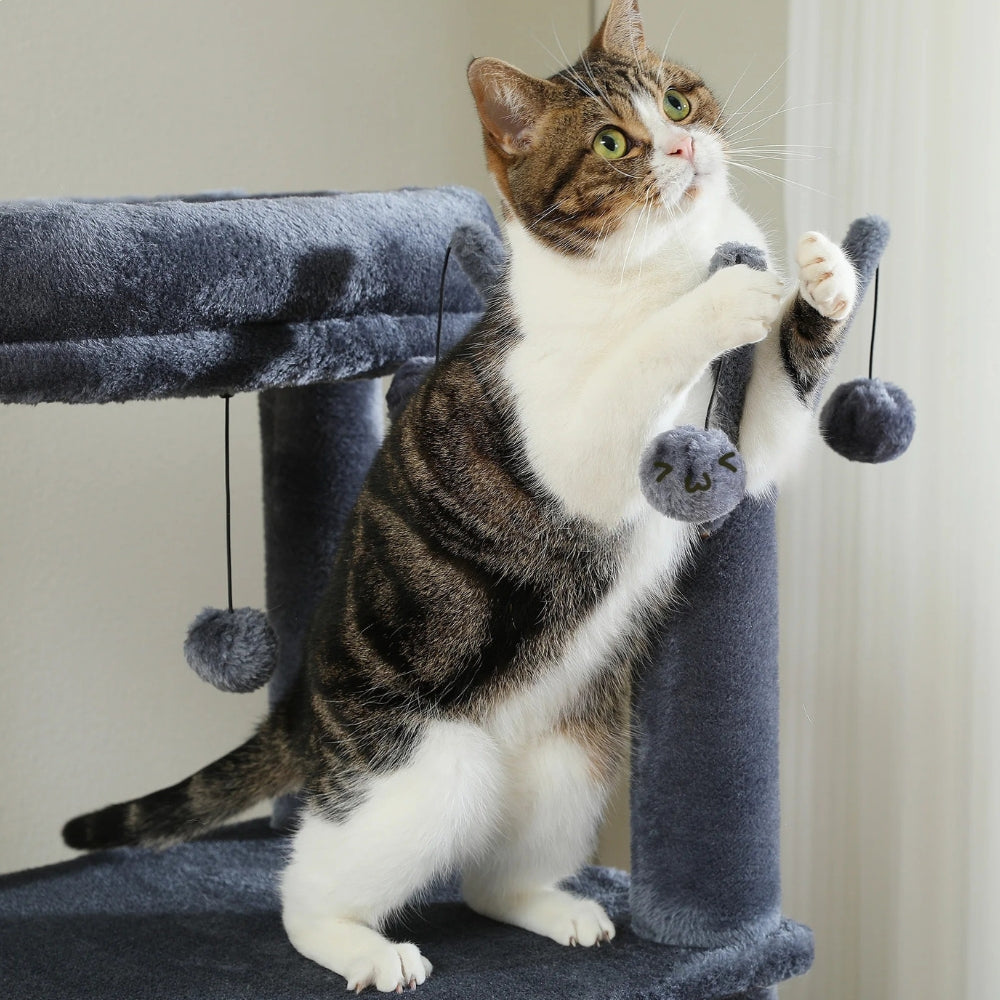 Arbre à Chat XXL Hamac Bois Foncé | Design Gris | Perchoir Du Chat