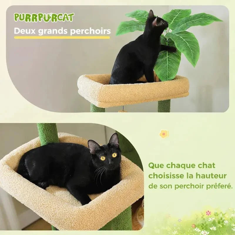 Arbre à Chat XXL Stable et Confortable