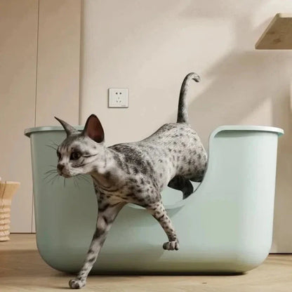Litière XXL Maine Coon - Grand Confort Chat