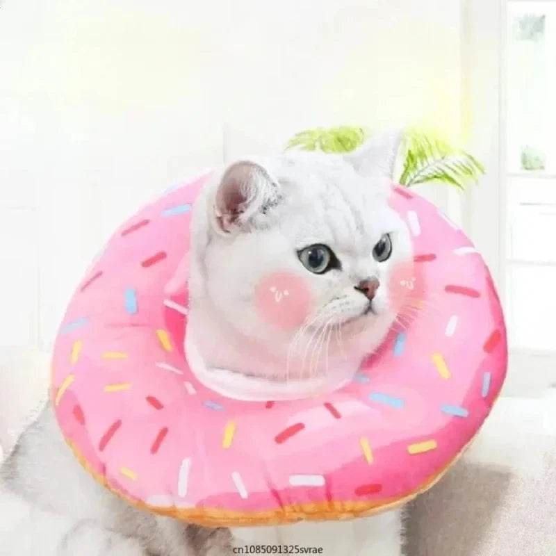 Collerette Chat Donut - Confort et Protection