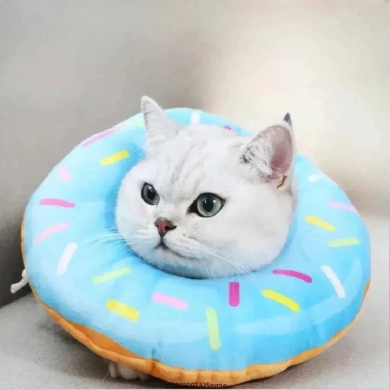 Collerette Chat Donut - Confort et Protection