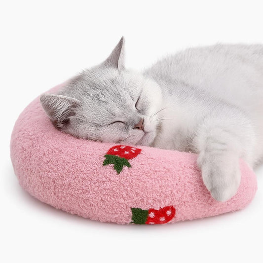 Coussin Confortable Chat - Ultra Moelleux