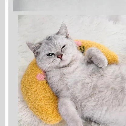 Coussin Confortable Chat - Ultra Moelleux
