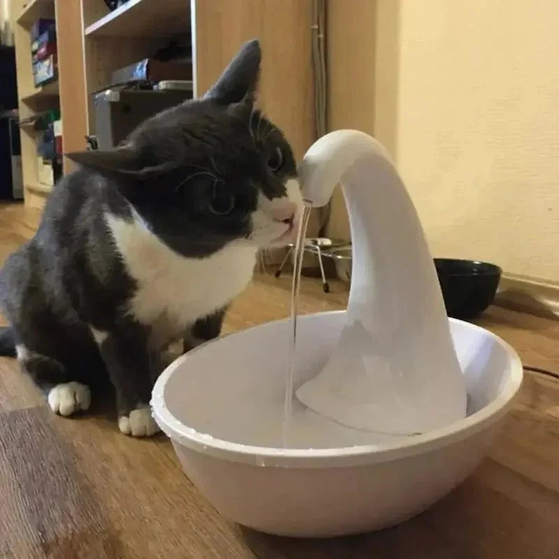 Fontaine à Eau Chat Automatique - Hydratation Continue