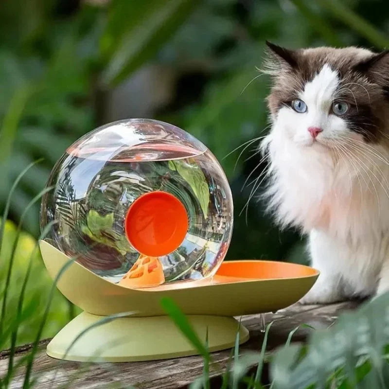 Fontaine à Eau Chat Ludique et Design