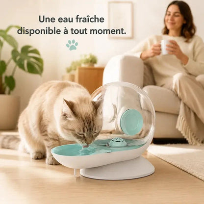 Fontaine à Eau Chat Ludique et Design