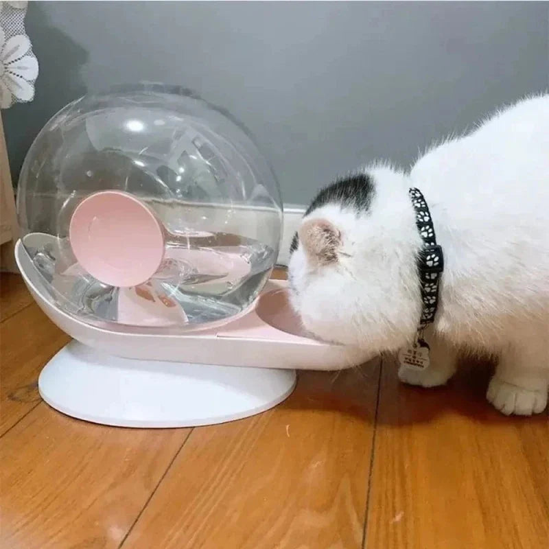 Fontaine à Eau Chat Ludique et Design