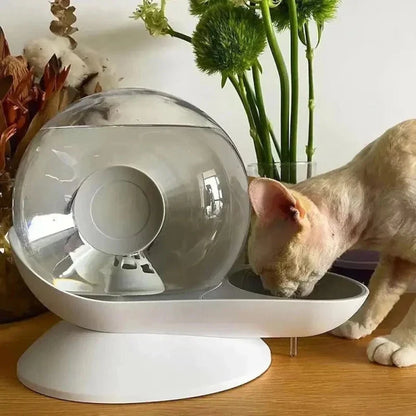 Fontaine à Eau Chat Ludique et Design
