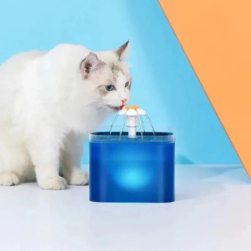 Fontaine à Eau LED pour Chat - Hydratation Nocturne