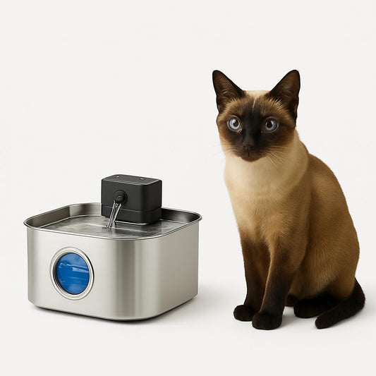 Fontaine à Eau Inox Sans Fil pour Chat 3,2L