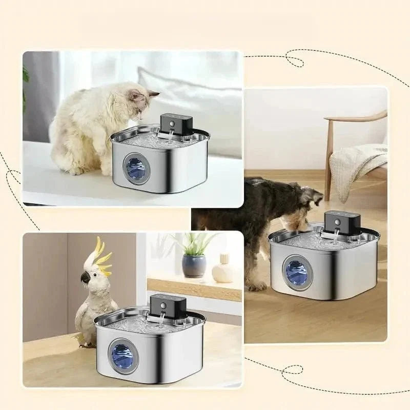 Fontaine à Eau Inox Sans Fil pour Chat 3,2L