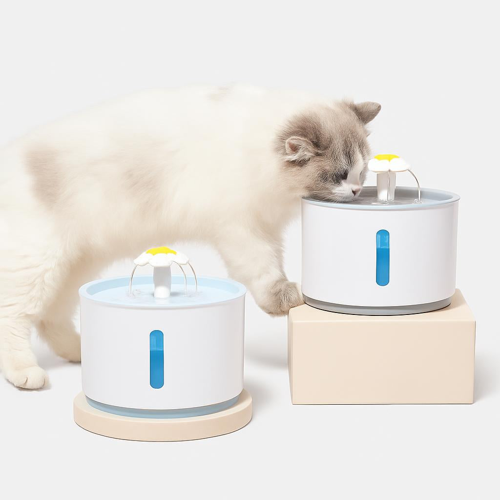 Fontaine à Eau Chat Design Moderne