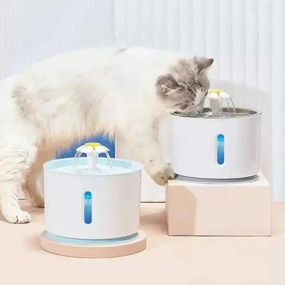 Fontaine à Eau Chat Design Moderne