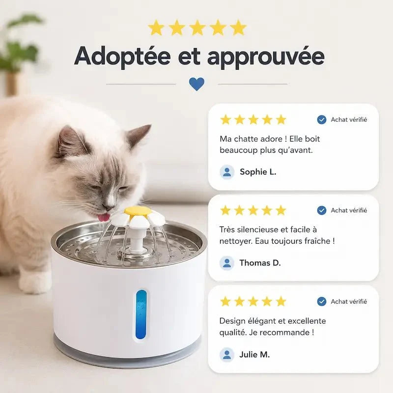 Fontaine à Eau Chat Design Moderne