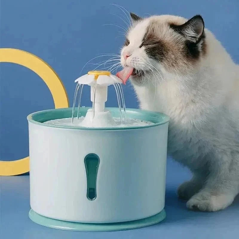 Fontaine à Eau Chat Fleur - Hydratation Optimale