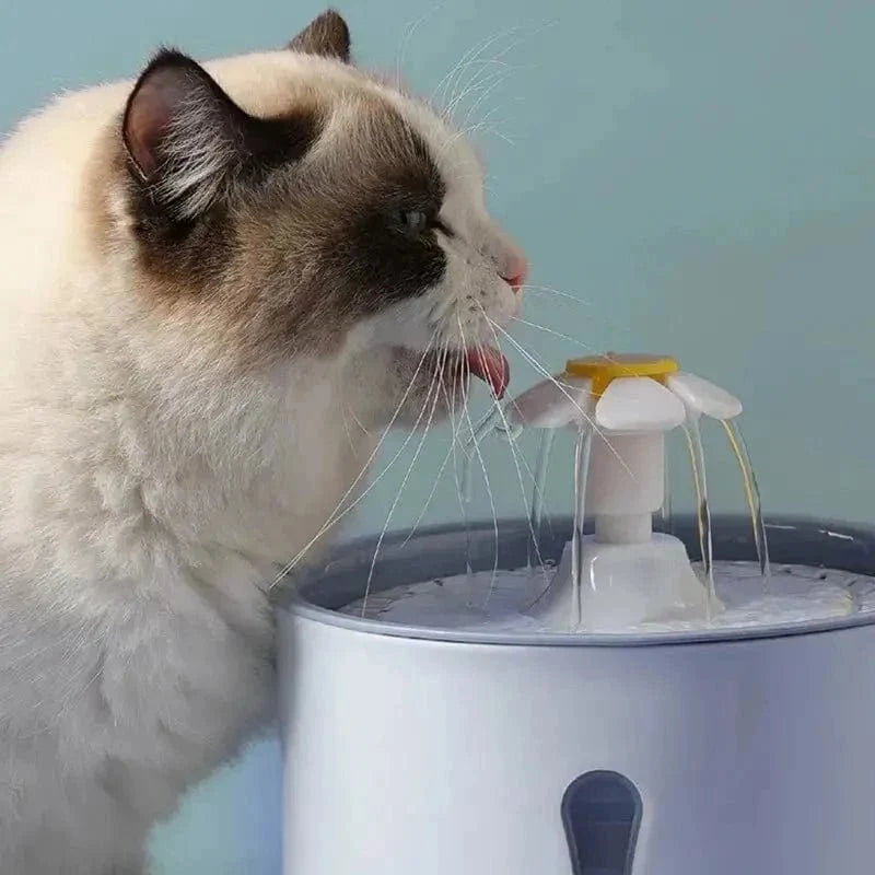 Fontaine à Eau Chat Fleur - Hydratation Optimale
