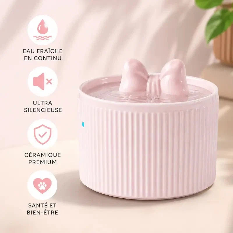 Fontaine à Eau Chat Design - Hydratation Optimale