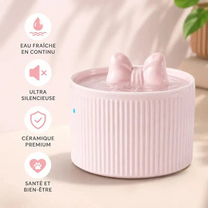 Fontaine à Eau Chat Design - Hydratation Optimale