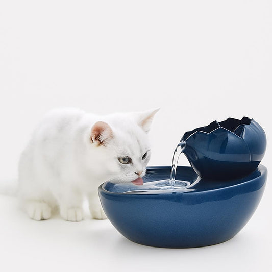 Fontaine à Eau Chat Céramique - Hydratation Facile