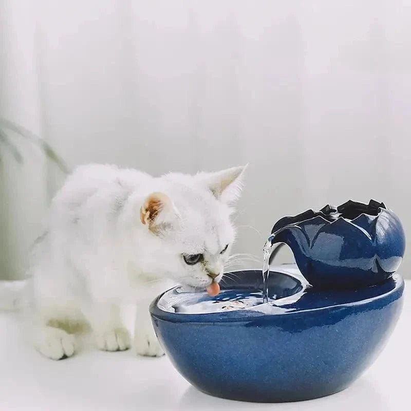 Fontaine à Eau Chat Céramique - Hydratation Facile