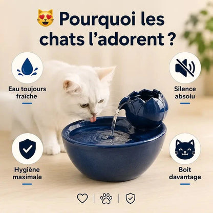 Fontaine à Eau Chat Céramique - Hydratation Facile