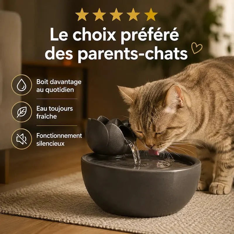 Fontaine à Eau Chat Céramique - Hydratation Facile