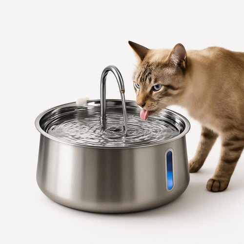 Fontaine à Eau Chat Inox 4L - Hydratation Optimale
