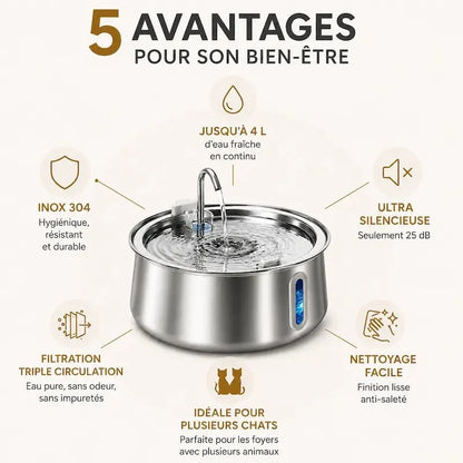Fontaine à Eau Chat Inox 4L - Hydratation Optimale