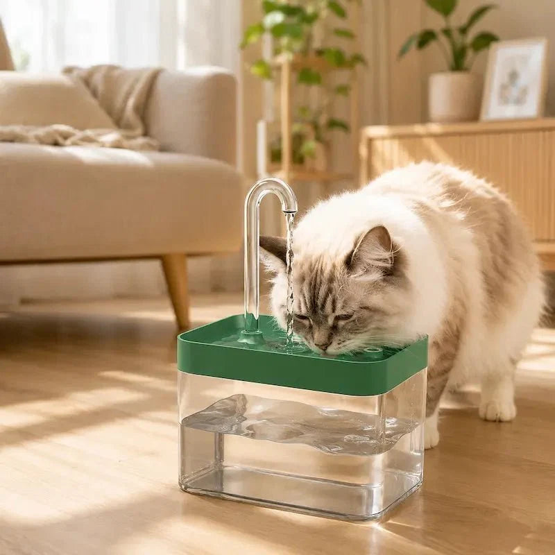 Fontaine à Eau Chat USB Transparente
