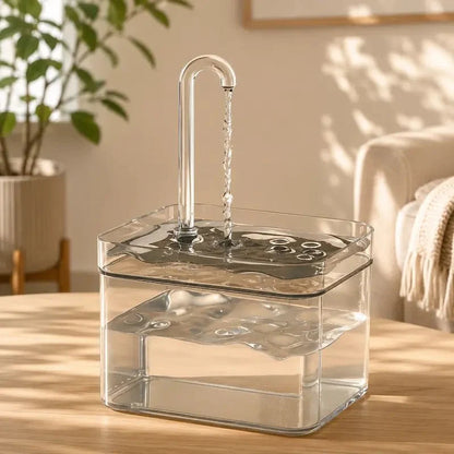 Fontaine à Eau Chat USB Transparente