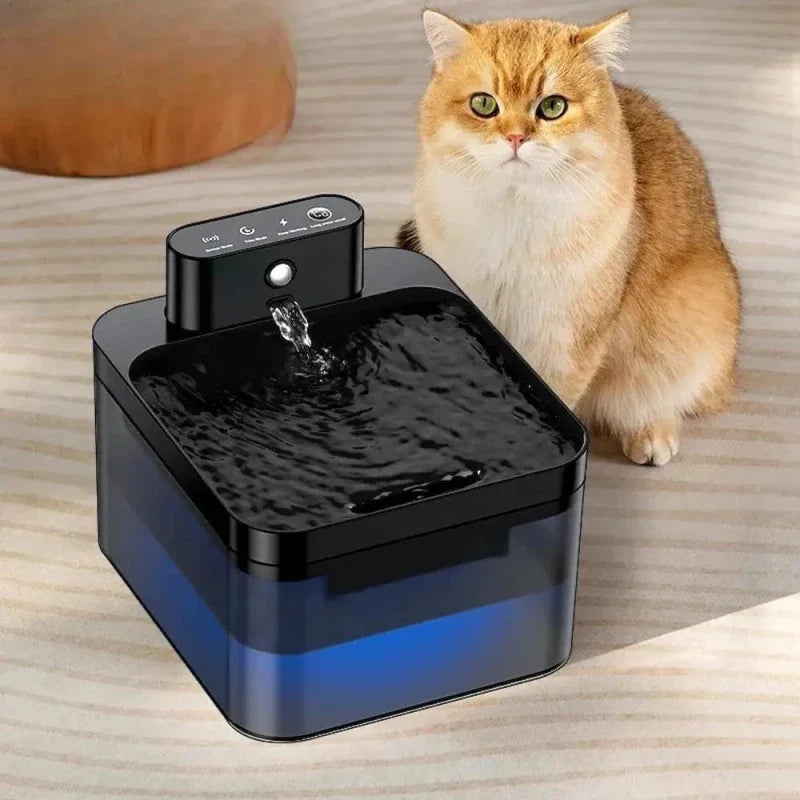 Fontaine à Eau Chat Sans Fil - Batterie Rechargeable