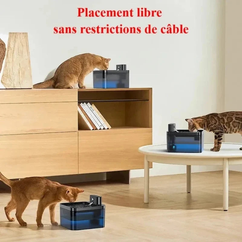 Fontaine à Eau Chat Sans Fil - Batterie Rechargeable