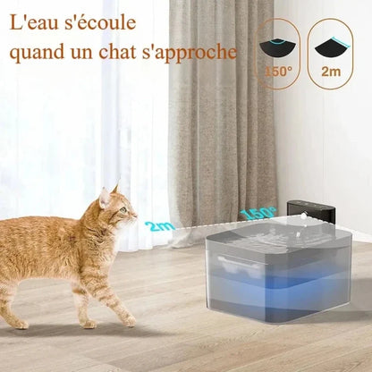 Fontaine à Eau Chat Sans Fil - Batterie Rechargeable