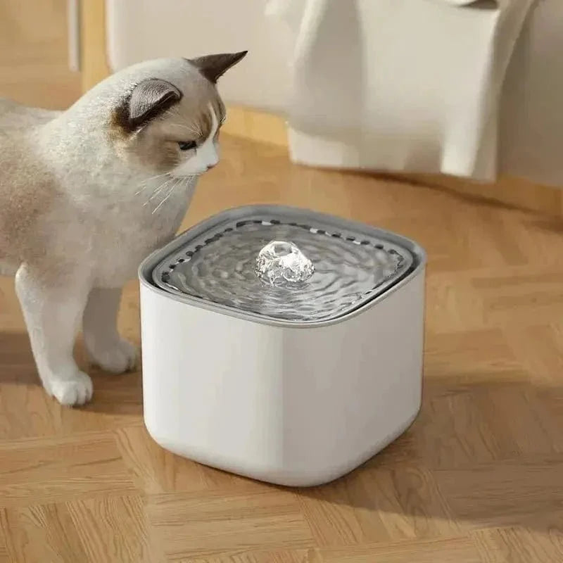 Fontaine à Eau Chat Silencieuse 3L - USB