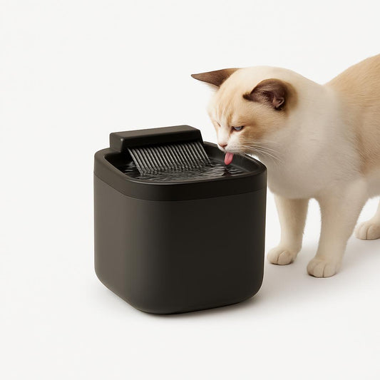 Fontaine à Eau Chat 3L Silencieuse USB