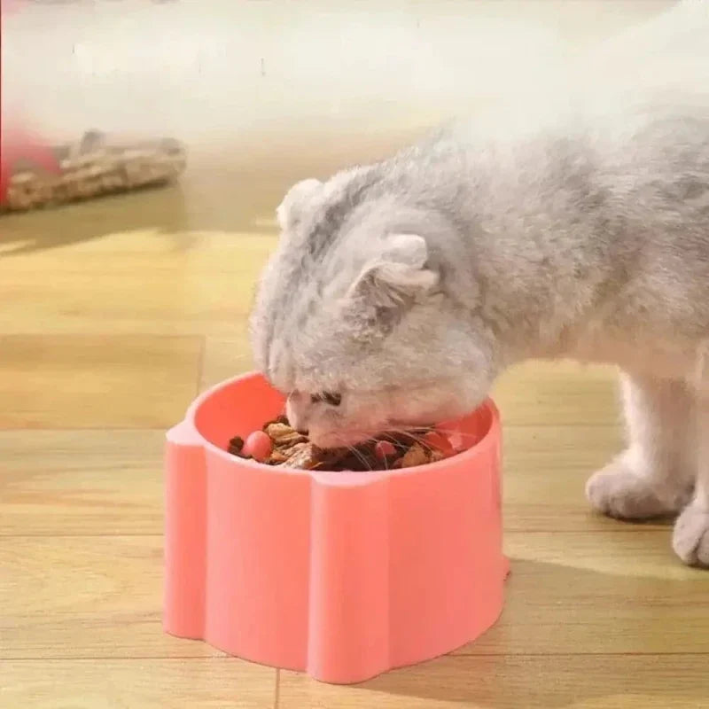 Gamelle Surélevée Anti Glouton pour Chat
