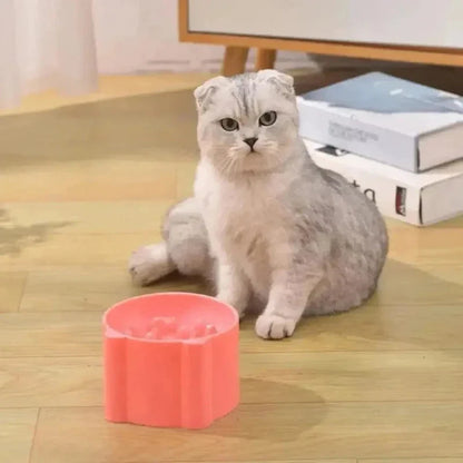 Gamelle Surélevée Anti Glouton pour Chat
