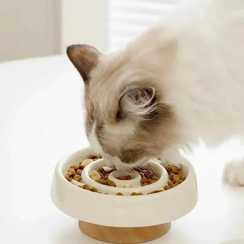 Gamelle Céramique Anti-Glouton Chat - Digestion Lente